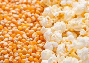 popcorn and kernels